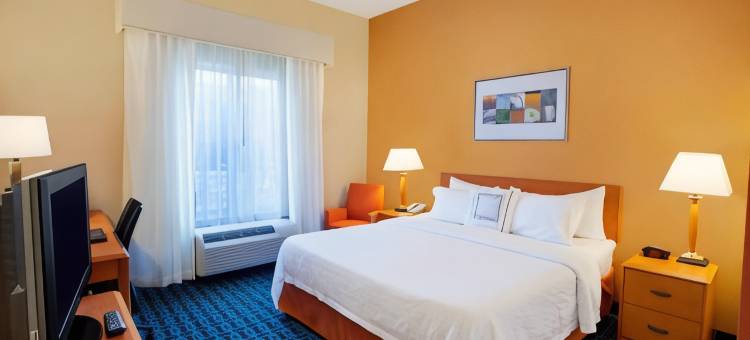 罗穆勒斯底特律都会机场万枫酒店(Fairfield Inn & Suites Detroit Metro Airport Romulus)图片