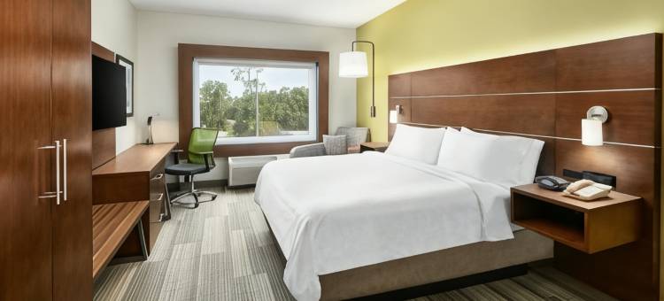 智选假日套房酒店帕拉特卡西北(Holiday Inn Express & Suites Palatka Northwest)图片
