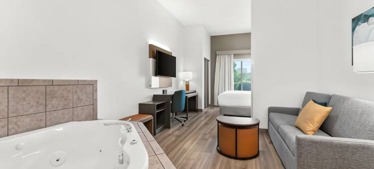 舒适套房酒店(Comfort Inn & Suites)图片