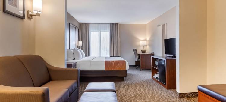 南港舒适套房酒店-I-96附近(Comfort Suites South Haven Near I-96)图片