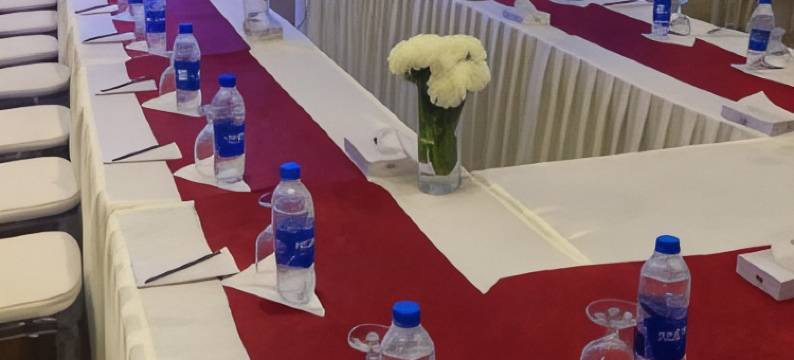 蒙古大酒店(The Majestic Manor Hotel)图片