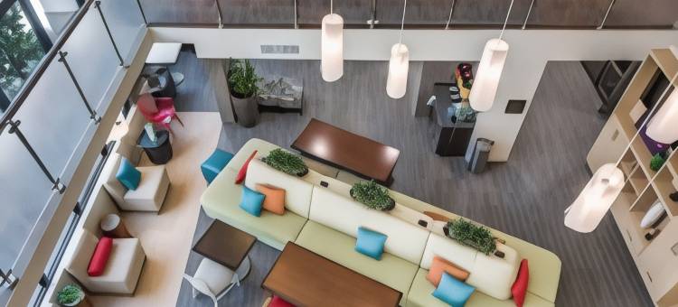 德克萨斯 DFW 机场南/欧文希尔顿惠庭酒店(Home2 Suites by Hilton DFW Airport South Irving)图片