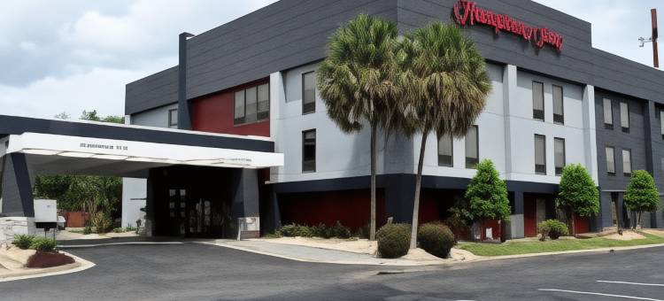 瓦尔多斯塔/莱克帕克区希尔顿欢朋酒店(Hampton Inn Valdosta/Lake Park Area)图片