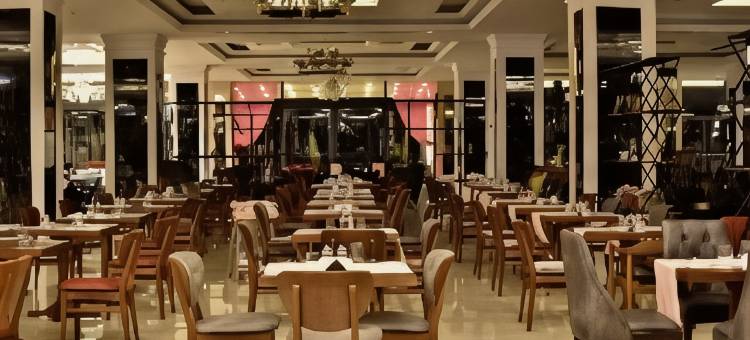 麦克宫水疗酒店及会议中心(MC Palace Hotel)图片