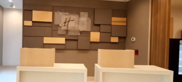 北奥古斯塔智选假日酒店(Holiday Inn Express North Augusta - SC)图片