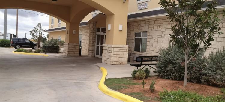 奥德萨速8酒店(Super 8 by Wyndham Odessa TX)图片