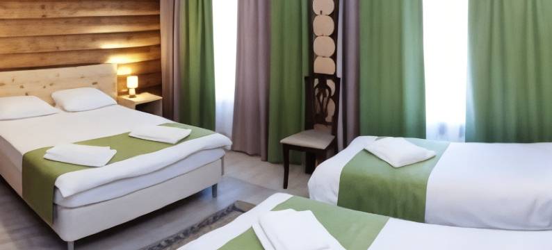 Zolotoe Koltso Hotel图片