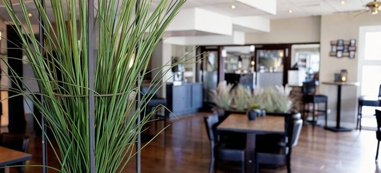 泰尔讷曾城市酒店(City Hotel Terneuzen)图片