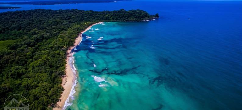 海猴酒店(The Sea Monkey)图片