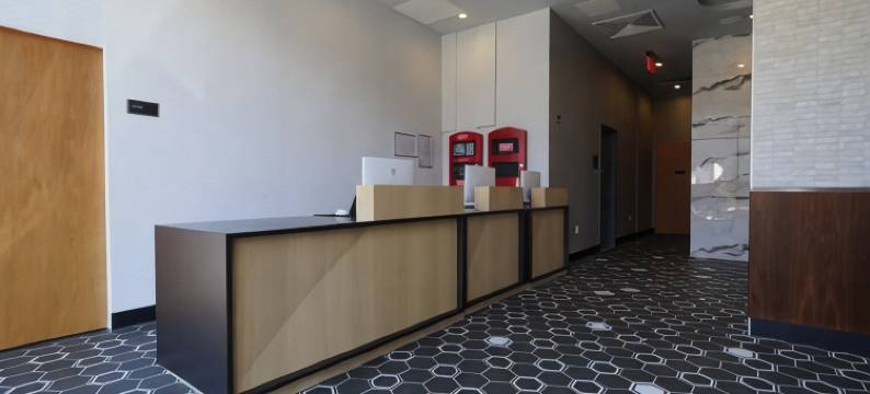 纽约长岛市希尔顿逸林酒店(DoubleTree by Hilton Long Island City New York)图片