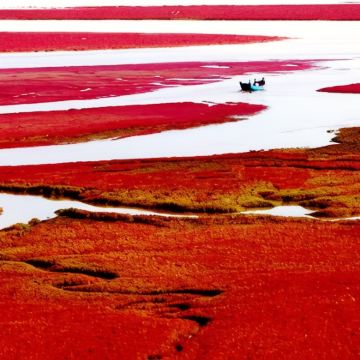 沈阳+本溪+丹东+大连+营口+盘锦6日5晚私家团