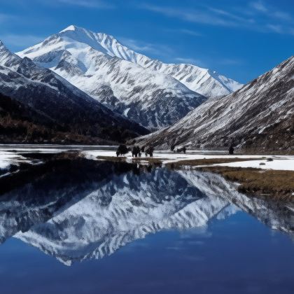 成都+四姑娘山双桥沟-人参果坪观景台+鱼子西+墨石公园景区+康定情歌(木格措)景区7日6晚私家团