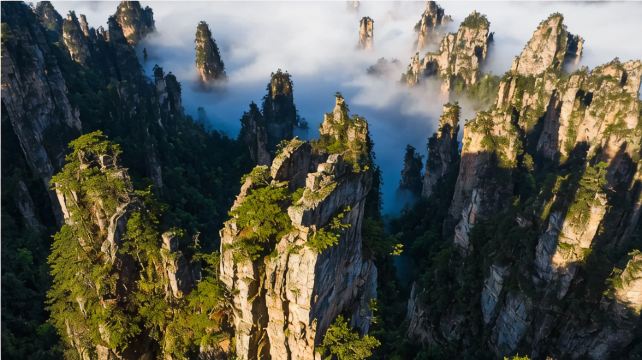 长沙+张家界+天门山+凤凰4日3晚跟团游·楚韵翠微+20人纯玩+凤凰升温德姆+2+1航空巴士+三大5A核心景区+赠苗服换装+凤凰夜景