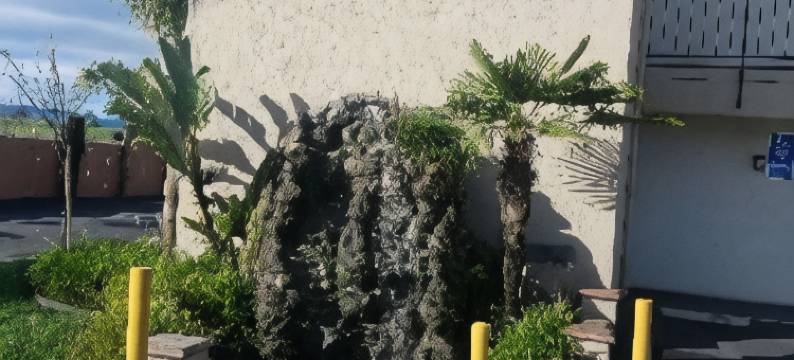 贝斯特韦斯特霍利斯特SureStay酒店(SureStay Hotel by Best Western Hollister)图片