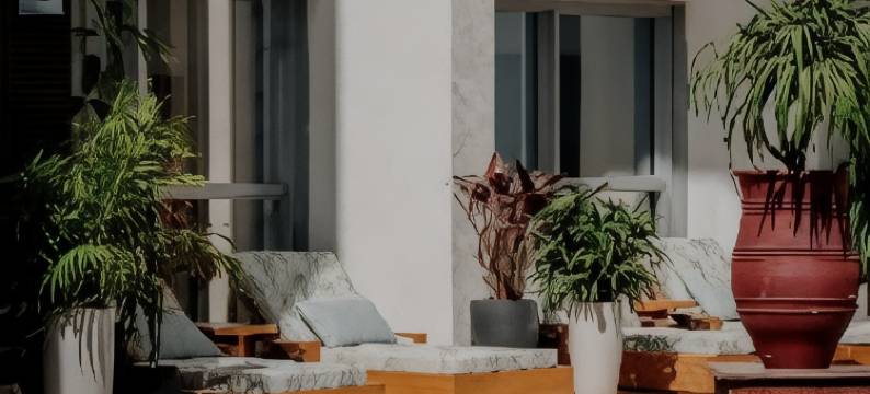 迪拜都喜天丽酒店(Dusit Thani Dubai)图片