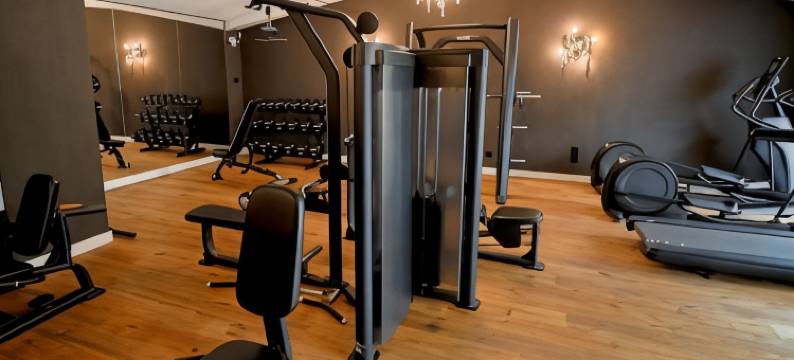 安提克城市酒店(Boutiquehotel Goldhahn Bio Sport & Wellness)图片