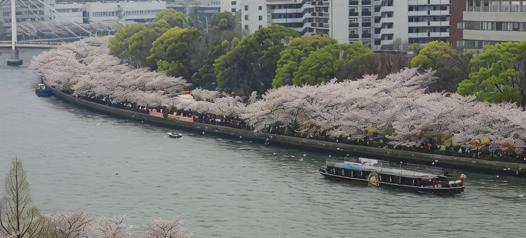 Noku大阪(Noku Osaka)图片
