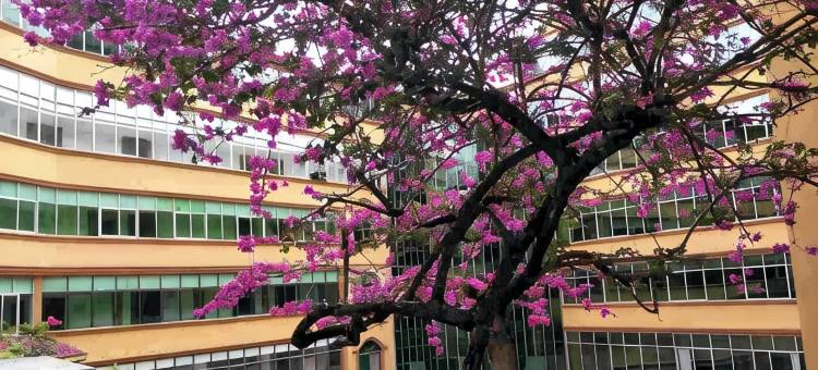 靖西大酒店图片