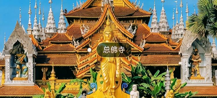 西双版纳景洪善思惟云宿(告庄星光夜市店)图片