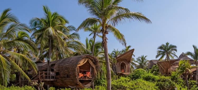 维瓦海滩酒店(Playa Viva)图片