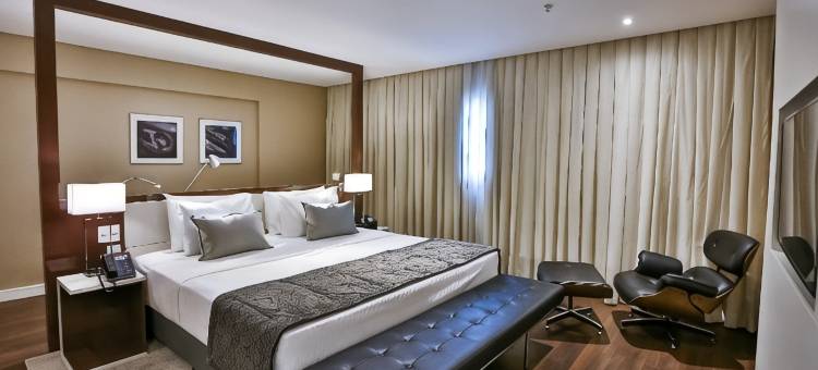 凯艺酒店-戈亚尼亚(Quality Hotel Flamboyant)图片