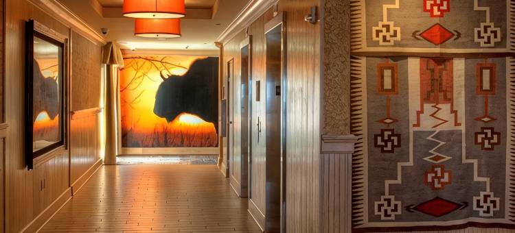 道奇城欢朋套房酒店(Hampton Inn & Suites Dodge City)图片