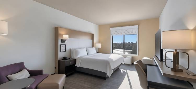芝加哥廷利公园洲际假日酒店(Holiday Inn CHICAGO – TINLEY PARK by IHG)图片