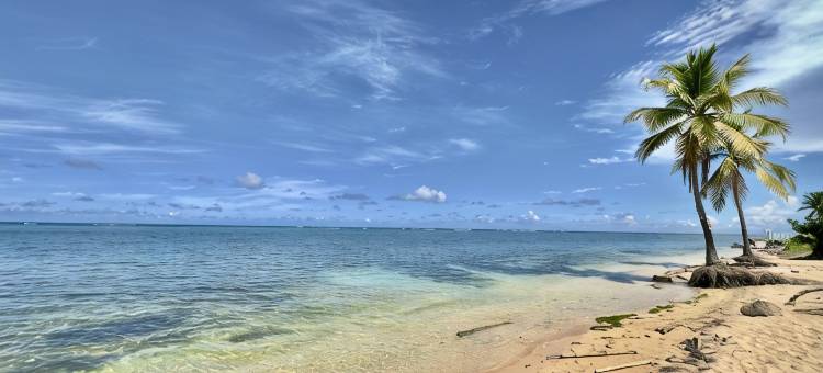 Beach Vibes: Pool w. Waterfall, Beach by El Yunque图片