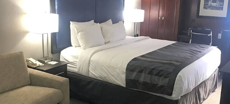 查尔斯顿体育馆蔚景温德姆酒店(Wingate by Wyndham Charleston Coliseum)图片