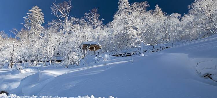 雪谷丁子涵时尚家庭旅馆图片