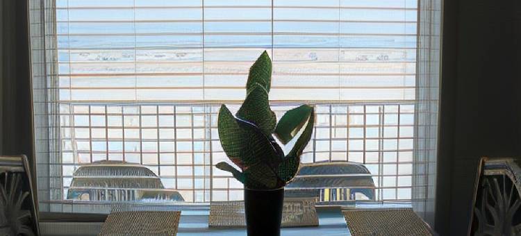 吉布森酒店格雷特瀑布, 凯悦臻选酒店(The Gibson Hotel Great Falls, Ascend Hotel Collection)图片