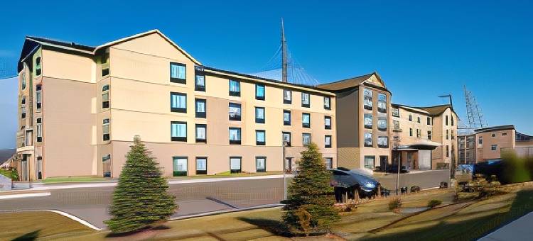 底特律贝尔维尔TownePlace Suites酒店(TownePlace Suites Detroit Belleville)图片