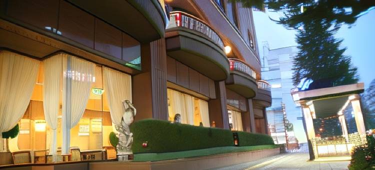 江阳大酒店(Koyo Grand Hotel)图片