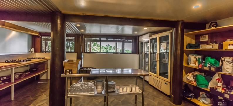 杰卡卢树屋雨林休闲旅馆(Jackaroo Treehouse Rainforest Retreat)图片