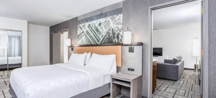 Holiday Inn 拉斐特市中心(Holiday Inn Lafayette-City Centre)图片