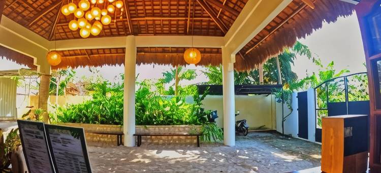 潜水者旅馆鸡蛋花(Divers Lodge Plumeria)图片