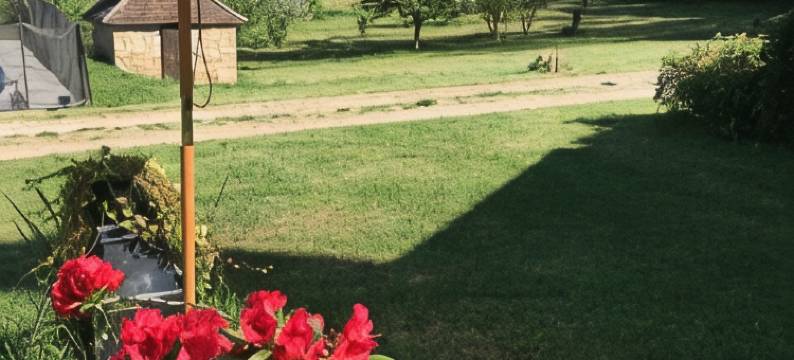 多瑙河领域(Le Domaine du Gravier)图片