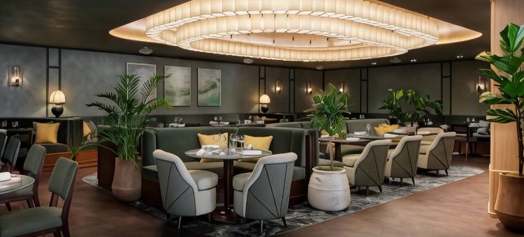 Montcalm Mayfair, Autograph Collection图片