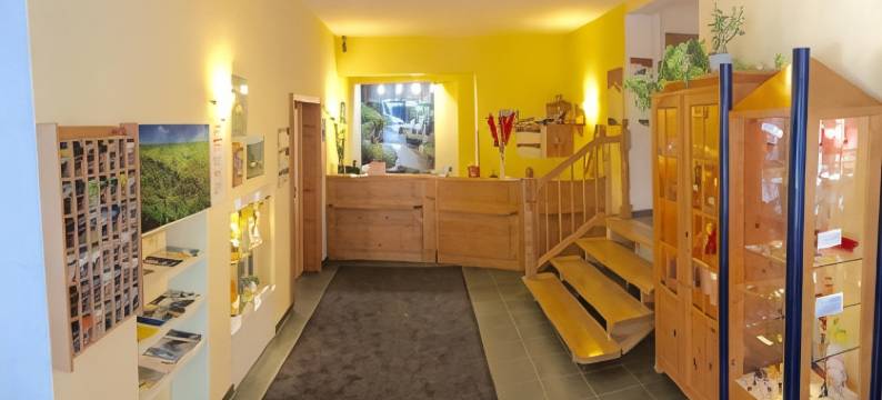 罗德巴赫穆勒酒店(Hotel Rodebachmühle)图片