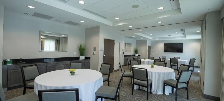 斯内尔维尔-亚特兰大东北希尔顿欢朋套房酒店(Hampton Inn & Suites Snellville Atlanta NE)图片