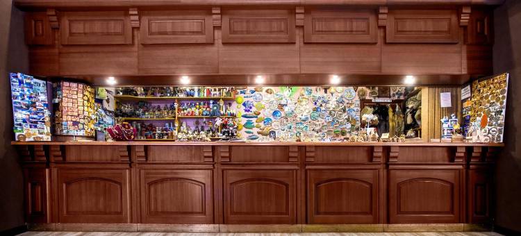克拉斯诺亚尔斯克酒店(Hotel Krasnoyarsk)图片