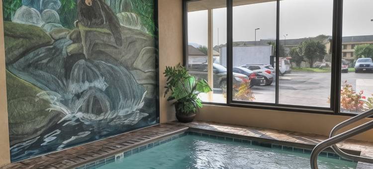 多利伍德街舒适酒店(Comfort Inn & Suites at Dollywood Lane)图片