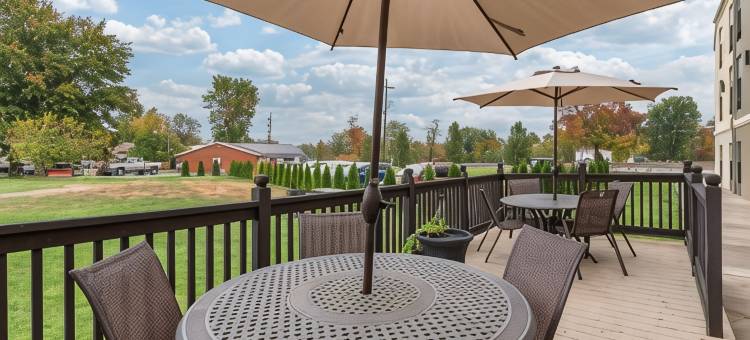 舒适酒店麦迪逊 靠近克利夫提瀑布(Comfort Inn)图片