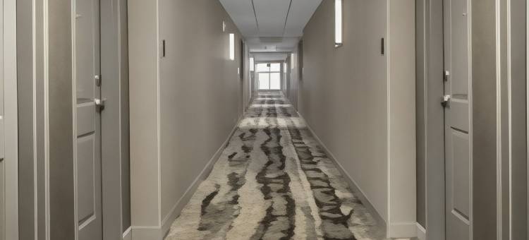 路易斯威尔机场希尔顿家庭套房(Homewood Suites by Hilton Louisville Airport)图片