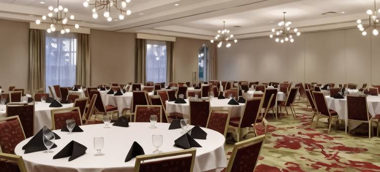 西兰辛希尔顿花园酒店(Hilton Garden Inn Lansing/West)图片