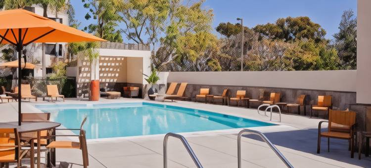 圣迭戈卡尔斯巴德万怡酒店(Courtyard San Diego Carlsbad)图片