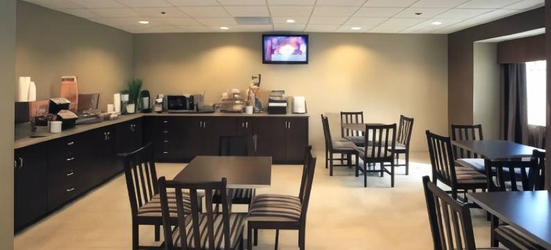 麦客达套房酒店- 特瑞阿德尔福亚(Microtel Inn & Suites by Wyndham Wheeling at the Highlands)图片