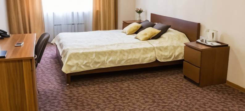 克莱佛酒店及旅馆(Hotel & Hostel Klever)图片