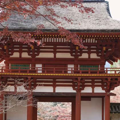 东京+大阪府+京都府+富士山+奈良6日5晚跟团游