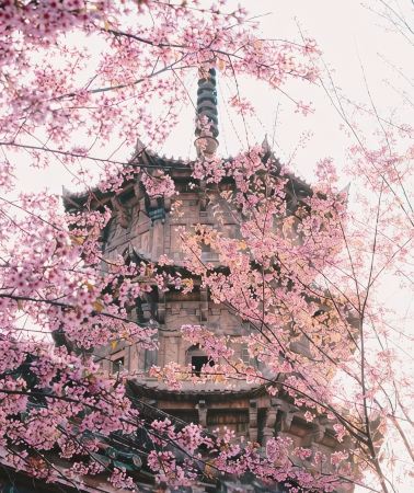 5天4晚 • 福州·平潭縣·泉州 開元寺·蟳埔村·猴研島